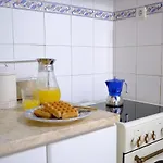 New! Cozy & - Blue Bica Reis