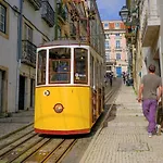 New! Cozy & - Blue Bica Reis * Lisbona